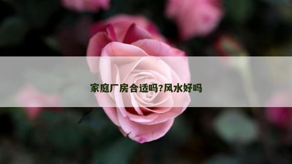 家庭厂房合适吗?风水好吗