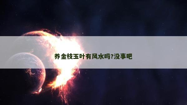 养金枝玉叶有风水吗?没事吧