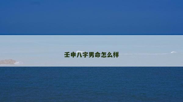 壬申八字男命怎么样