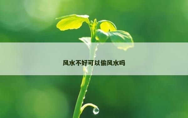 风水不好可以偷风水吗