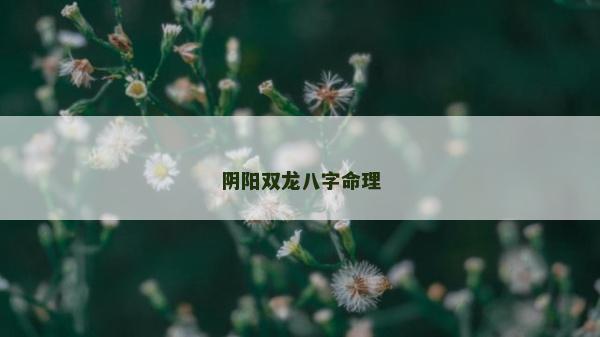 阴阳双龙八字命理