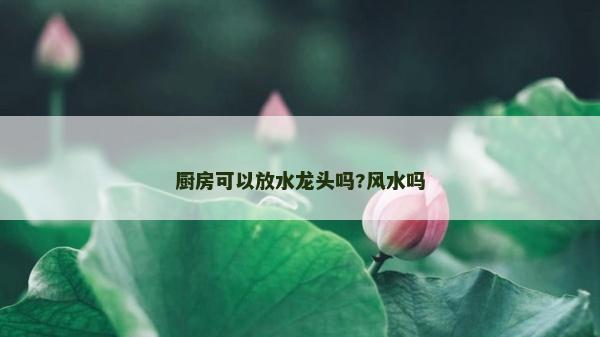 厨房可以放水龙头吗?风水吗