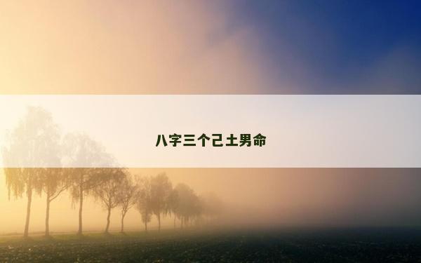 八字三个己土男命