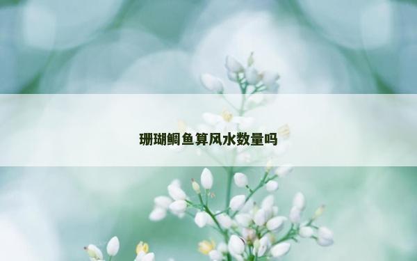 珊瑚鲷鱼算风水数量吗