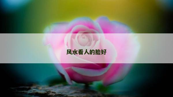风水看人的脸好