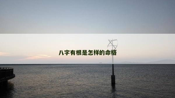 八字有根是怎样的命格