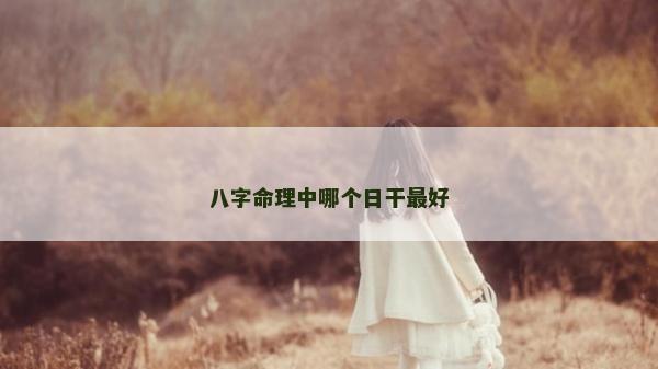 八字命理中哪个日干最好