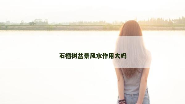 石榴树盆景风水作用大吗