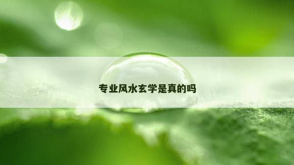 专业风水玄学是真的吗