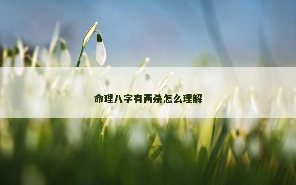 命理八字有两杀怎么理解