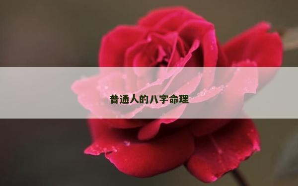 普通人的八字命理
