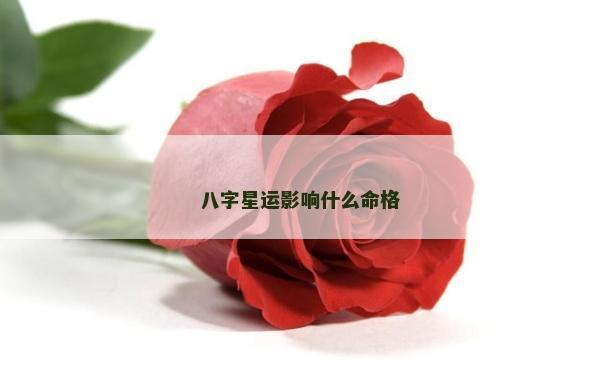 八字星运影响什么命格