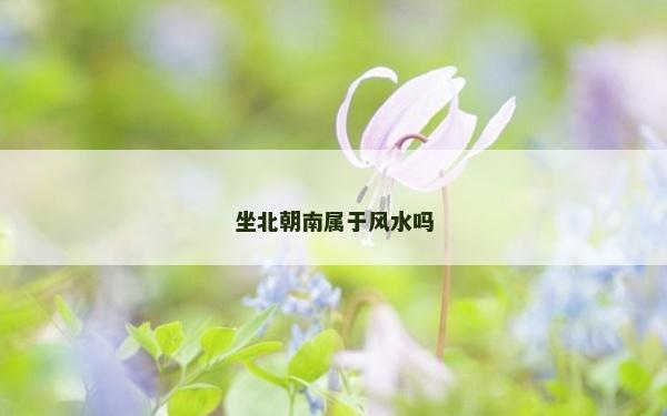 坐北朝南属于风水吗