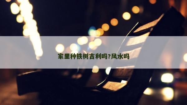 家里种铁树吉利吗?风水吗