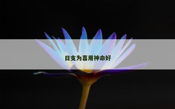 日支为喜用神命好