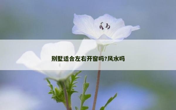 别墅适合左右开窗吗?风水吗