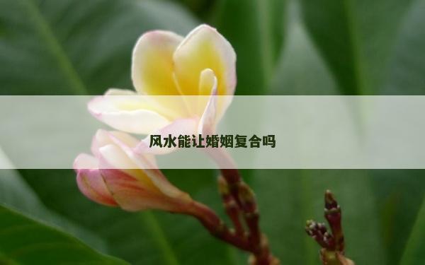 风水能让婚姻复合吗