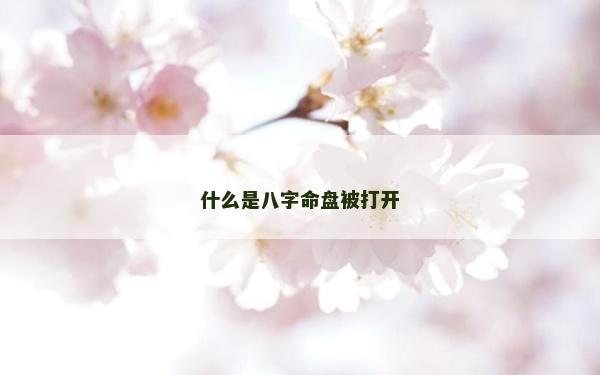 什么是八字命盘被打开