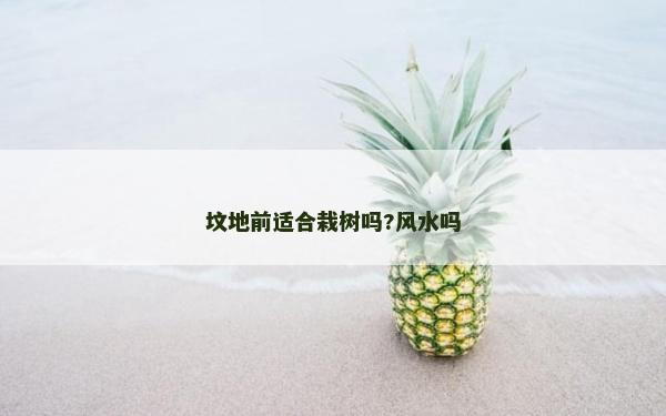 坟地前适合栽树吗?风水吗