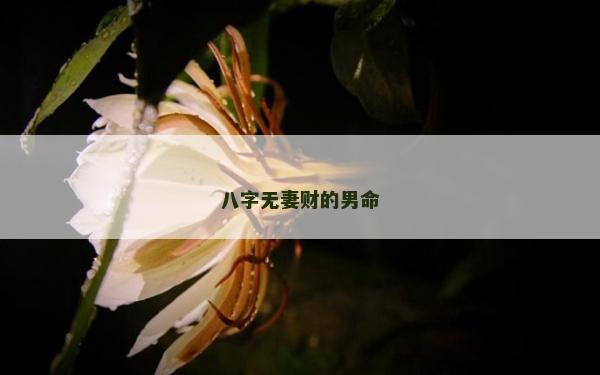 八字无妻财的男命