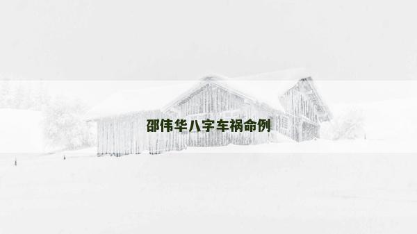 邵伟华八字车祸命例