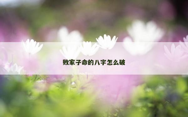 败家子命的八字怎么破