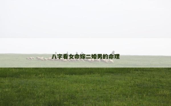 八字看女命嫁二婚男的命理