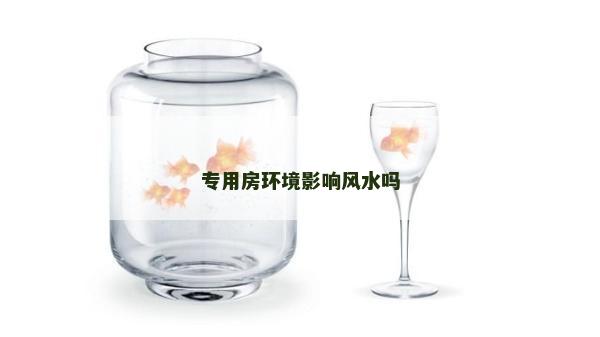 专用房环境影响风水吗