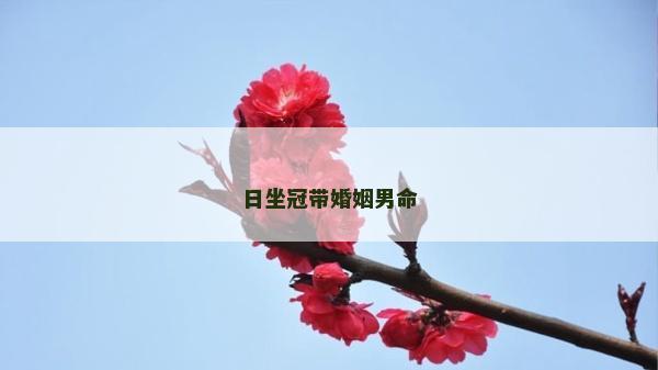 日坐冠带婚姻男命