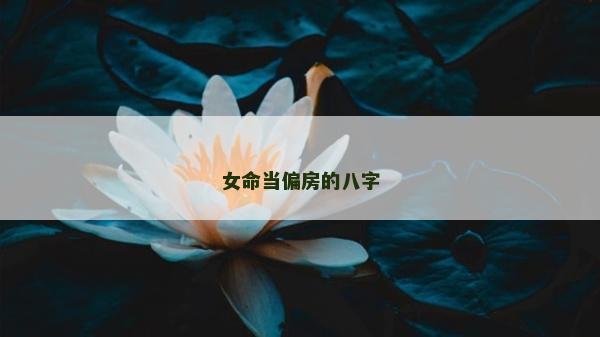 女命当偏房的八字
