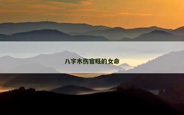 八字木伤官旺的女命