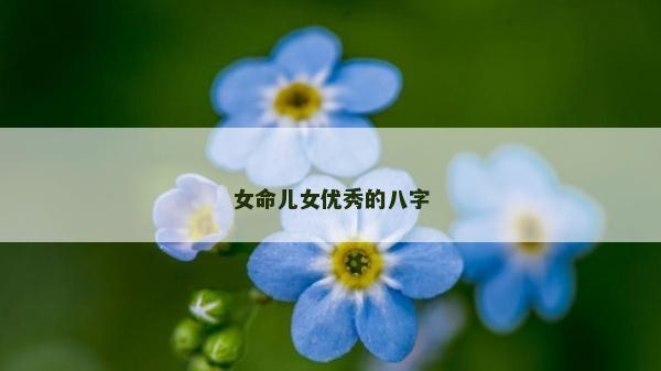女命儿女优秀的八字