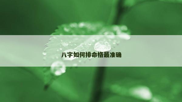 八字如何排命格最准确