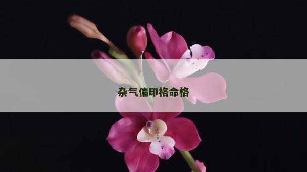 杂气偏印格命格