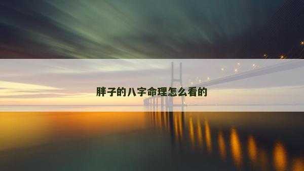 胖子的八字命理怎么看的