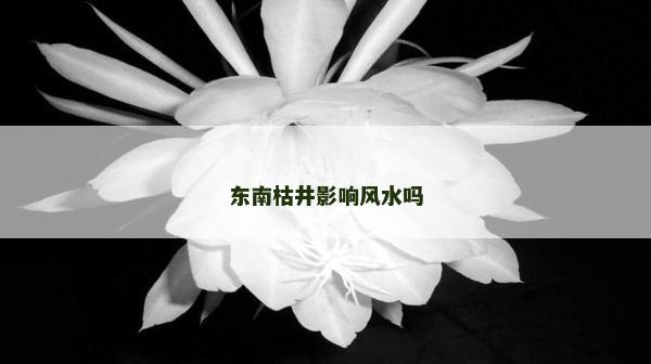 东南枯井影响风水吗