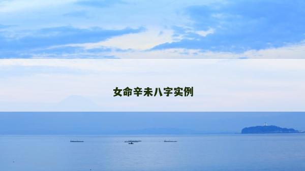女命辛未八字实例