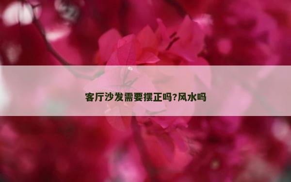 客厅沙发需要摆正吗?风水吗