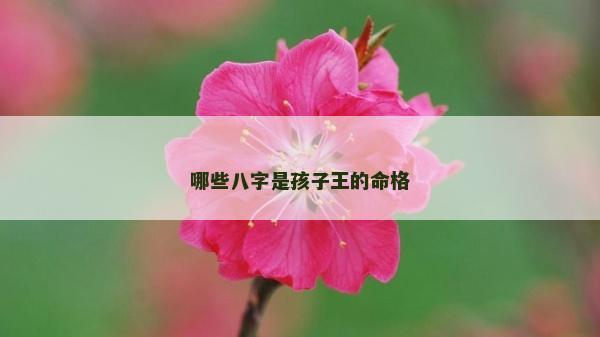 哪些八字是孩子王的命格