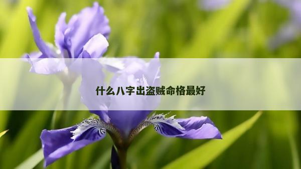 什么八字出盗贼命格最好