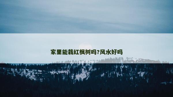 家里能栽红枫树吗?风水好吗