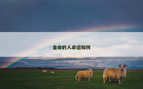 金命的人命运如何