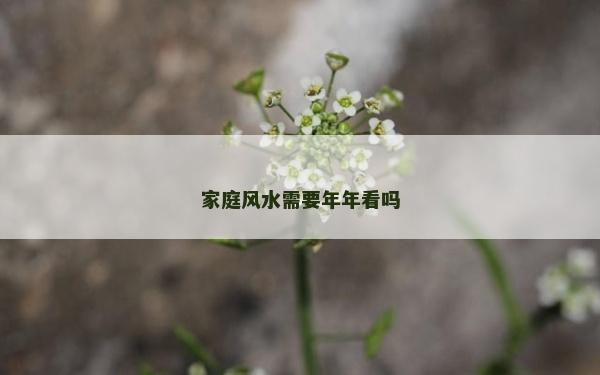 家庭风水需要年年看吗