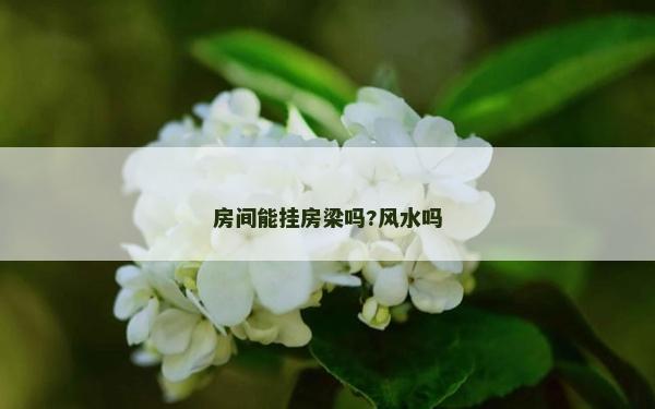 房间能挂房梁吗?风水吗