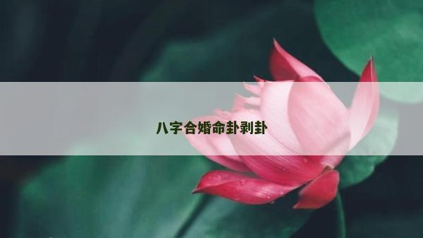 八字合婚命卦剥卦