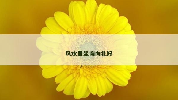 风水里坐南向北好