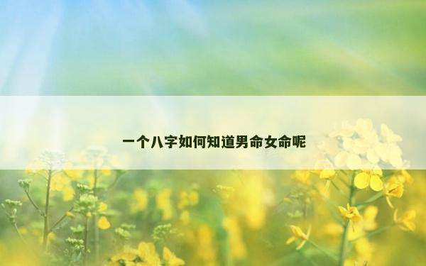 一个八字如何知道男命女命呢