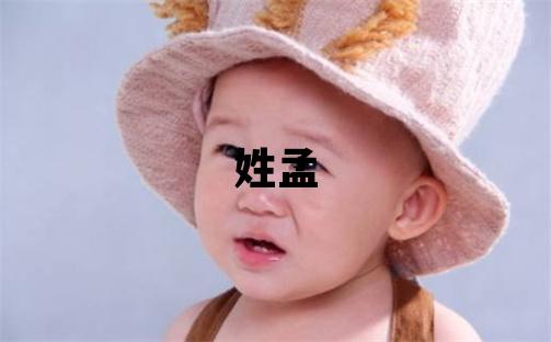 姓孟叫什么名字好 姓孟的男孩朗朗上口的名字
