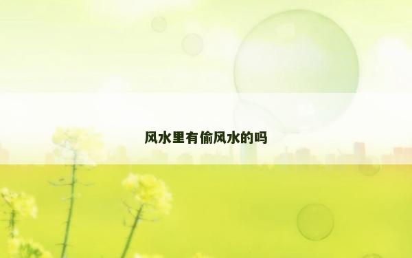 风水里有偷风水的吗