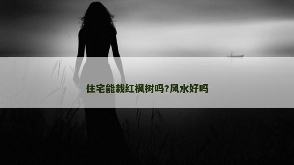 住宅能栽红枫树吗?风水好吗
